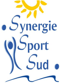 synergie logo 2009