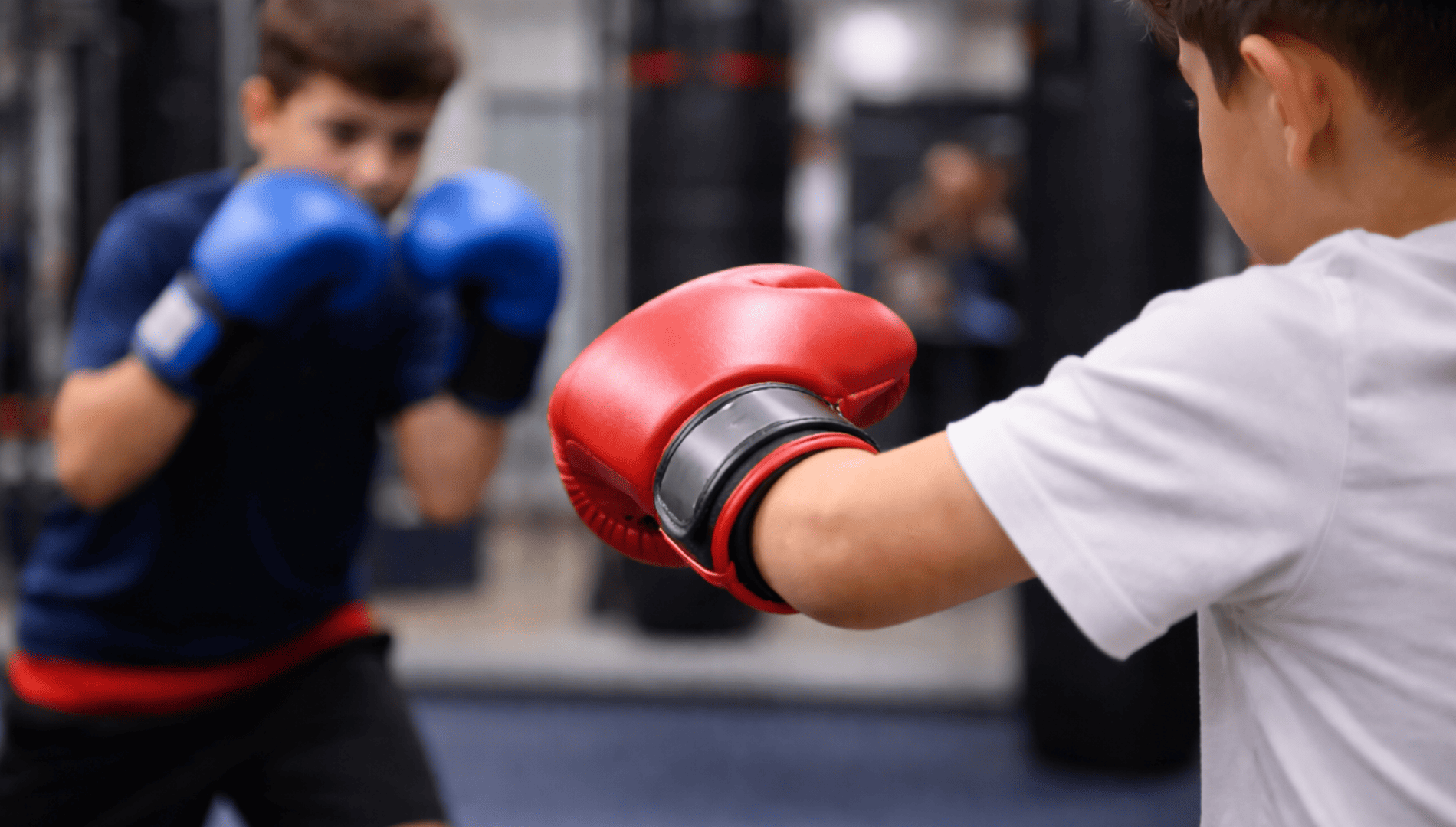 Boxe
